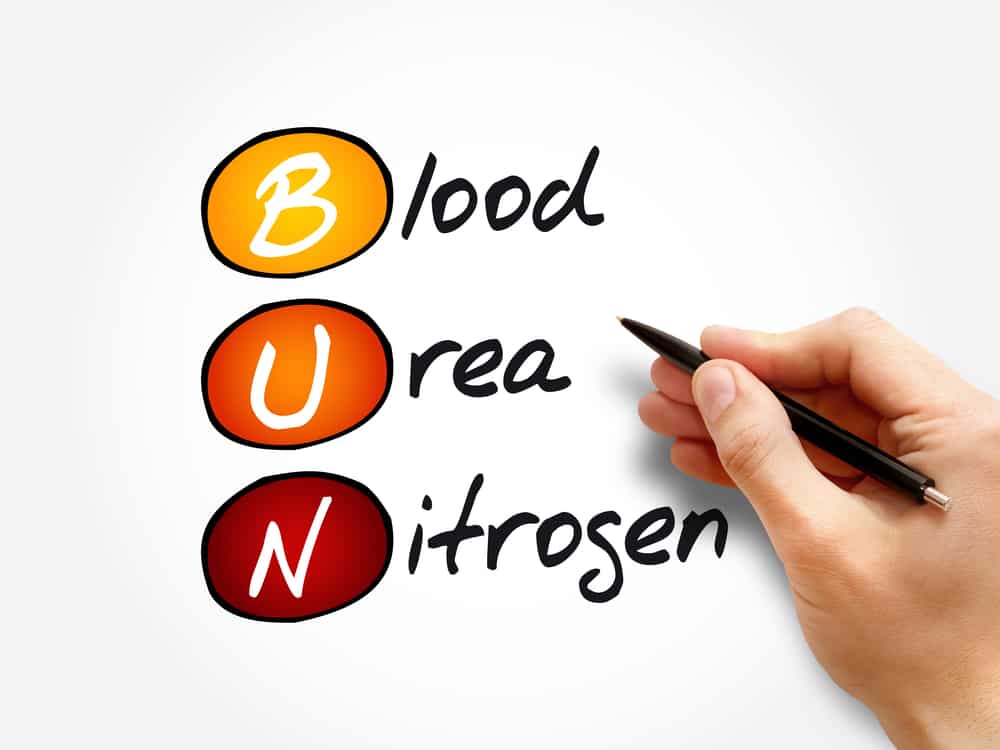 रक्त यूरिया नाइट्रोजन (BUN) कलम से लिखा हुआ