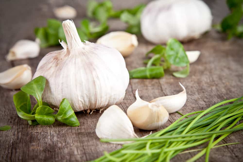 Benefits and risk of garlic in kidney disease